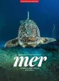 MER