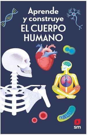 APC.EL CUERPO HUMANO
