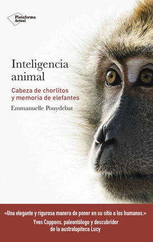 INTELIGENCIA ANIMAL - CABEZA DE CHORLITOS Y MEMORI