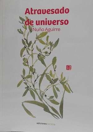 ATRAVESADO DE UNIVERSO